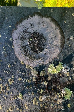 Lichen Tombstone Totem